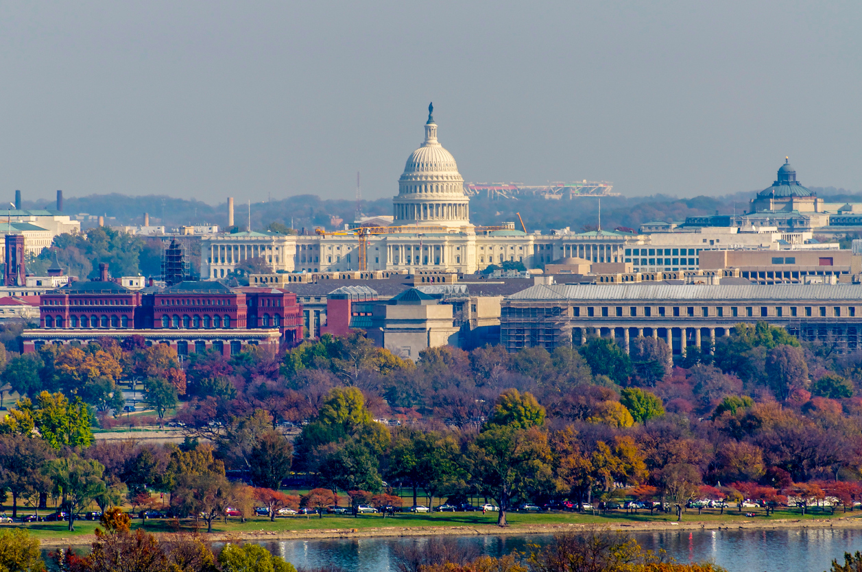 艾瑞爾拍攝的華盛頓和國會大廈的照片