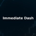 Immediate Dash Reviews: Pros And Cons of Working