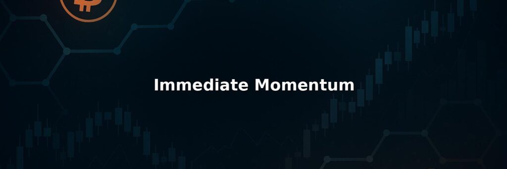 Immediate Momentum Review: Pros And Cons of Working