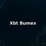 Xbt Bumex Reviews: Pros And Cons of Working